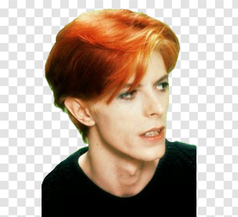 The Man Who Fell To Earth Red Hair Labyrinth Rise And Fall Of Ziggy Stardust Spiders From Mars - David Bowie Transparent PNG
