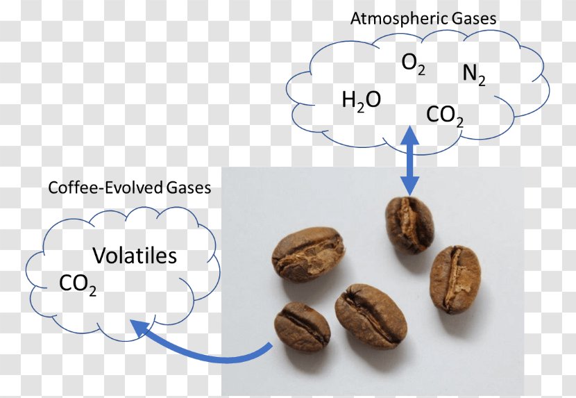 Single-origin Coffee Roasting Bean Shelf Life - Diffusion In Solids Liquids And Gases Transparent PNG