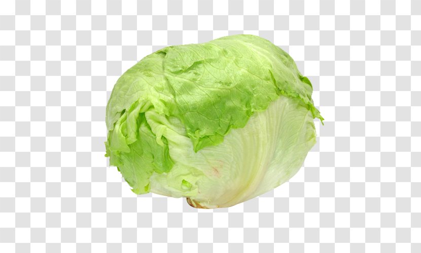 Juice Red Cabbage Leaf Vegetable - Cooking - Lettuce Transparent PNG