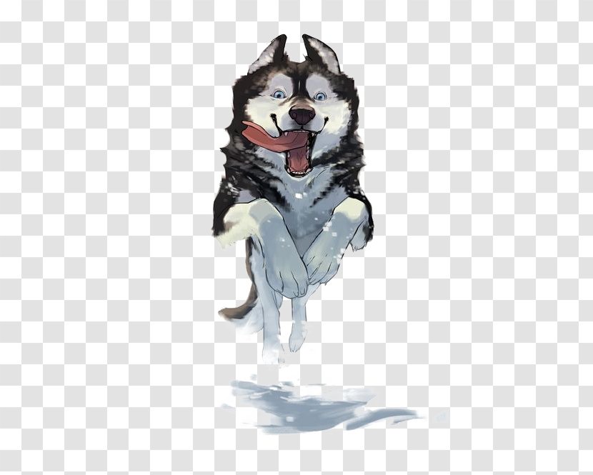 Siberian Husky Pet Illustration - Drawing - Watercolor Transparent PNG