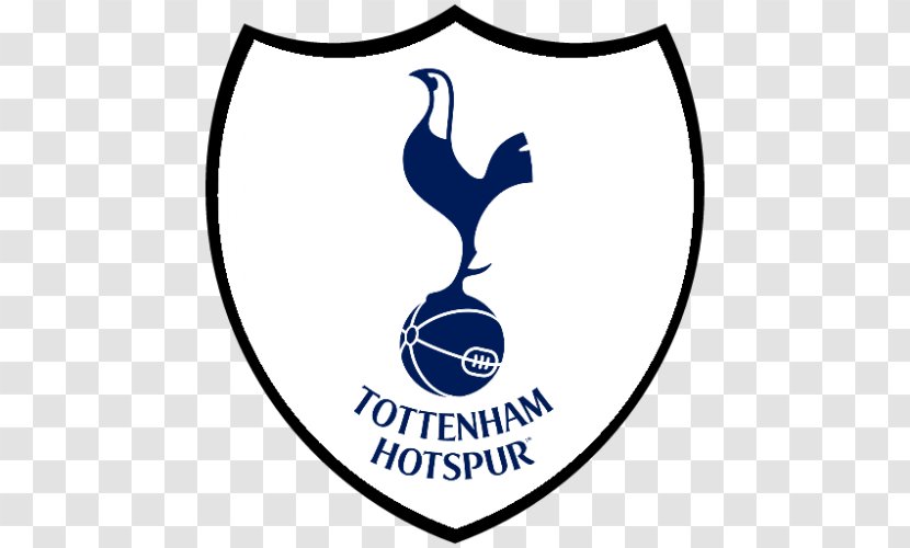 Tottenham Hotspur F.C. Premier League Northumberland Development Project Foundation Football Transparent PNG