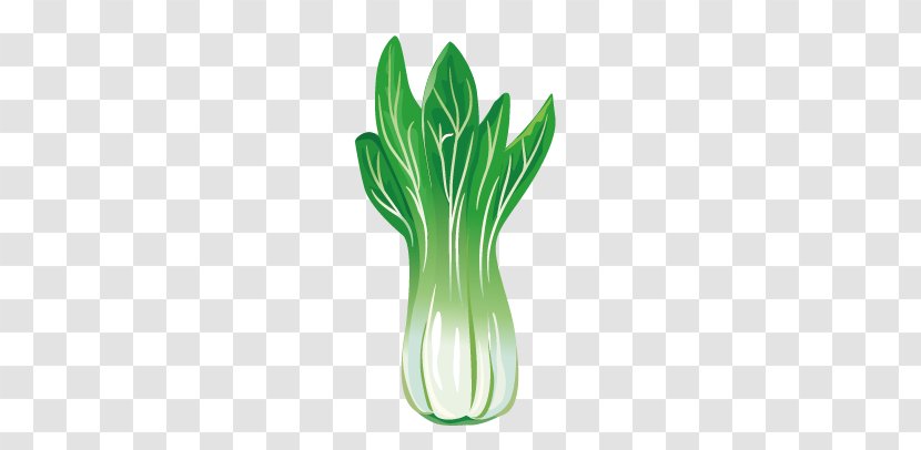 Leaf Vegetable Canola - Plot - Vegetables Transparent PNG