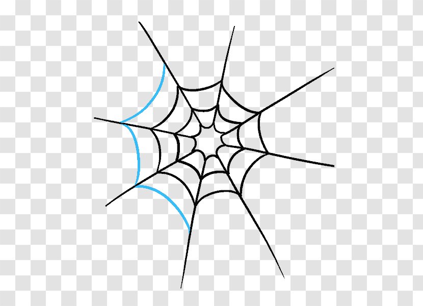 Spider Web Drawing Art Sketch - Organism Transparent PNG