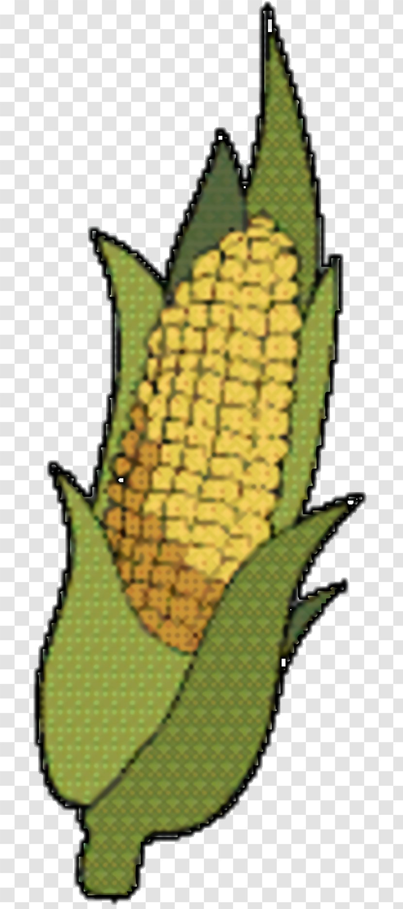 Corn Cartoon - Plant Transparent PNG