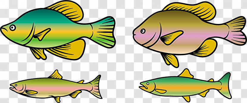 Fish Fish Fin Fish Products Bony-fish Transparent PNG
