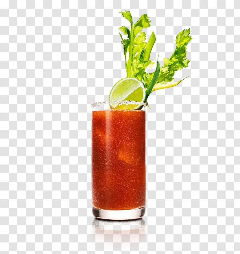 Bloody Mary Cocktail Garnish Sea Breeze Rum And Coke Mai Tai - Nonalcoholic Drink Transparent PNG