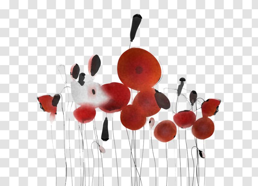 Coquelicot Plant Flower Balloon Poppy Family Transparent PNG