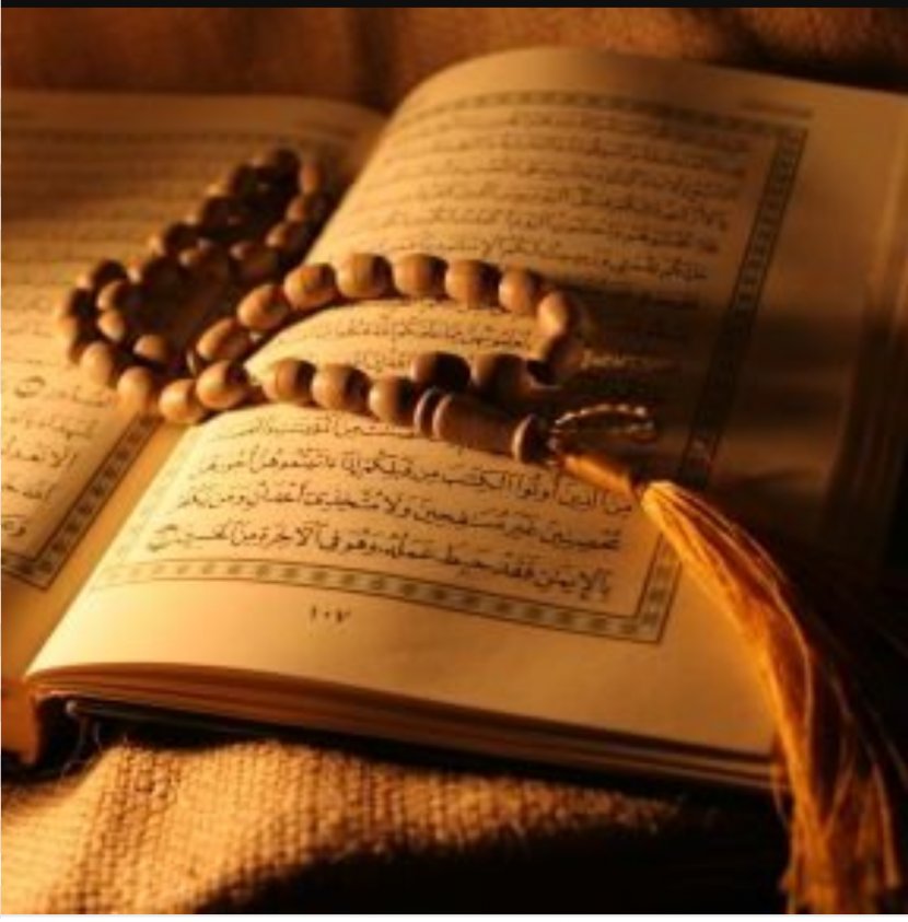 Quran Ya Sin Ayah Mosque Surah - Book Transparent PNG