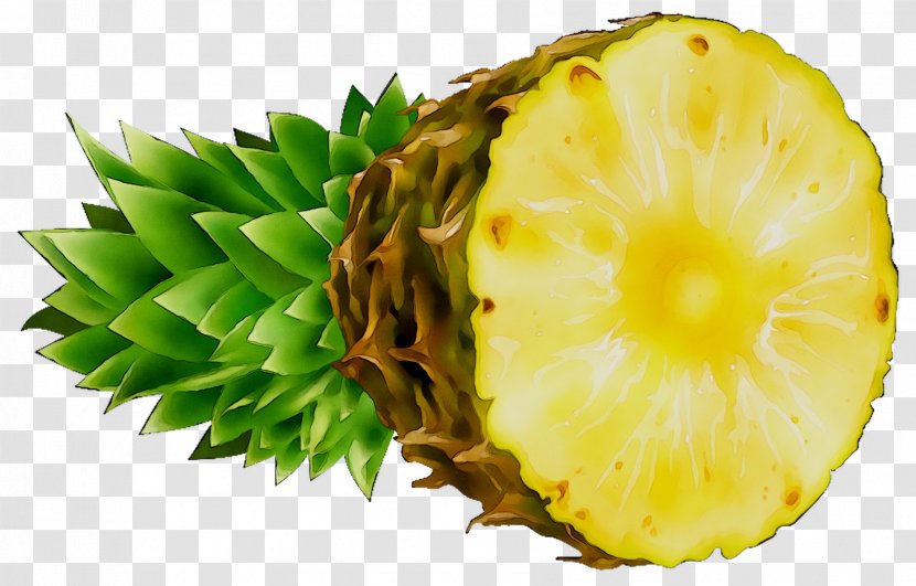 Pineapple Miscarriage Unintended Pregnancy Abortion - Bromeliaceae Transparent PNG