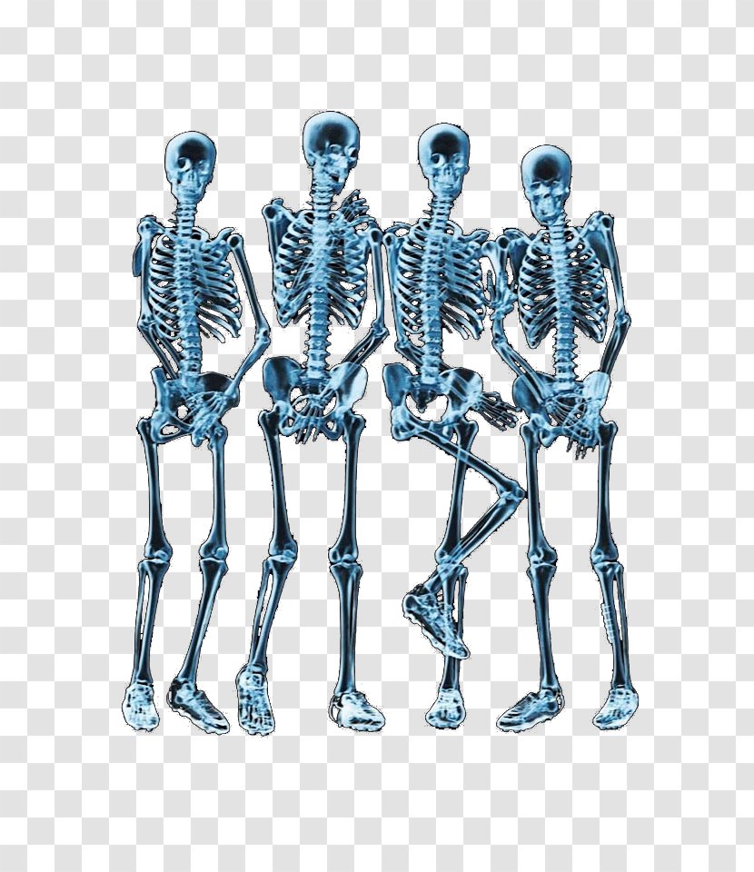Printed T-shirt X-ray Skeleton Bone - Anatomy - Body Transparent PNG