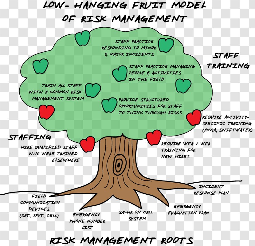 Education Risk Management Plan - Tree - Fruit Field Transparent PNG