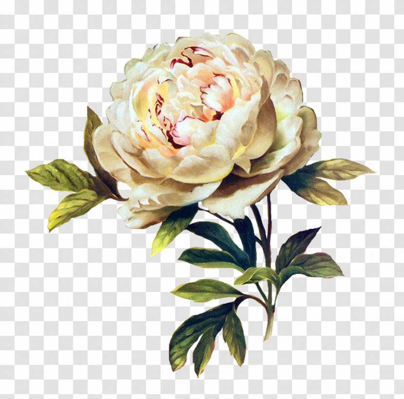 Flower Floral Design Rose Painting Mosaic - Art - FLOWER PATTERN Transparent PNG