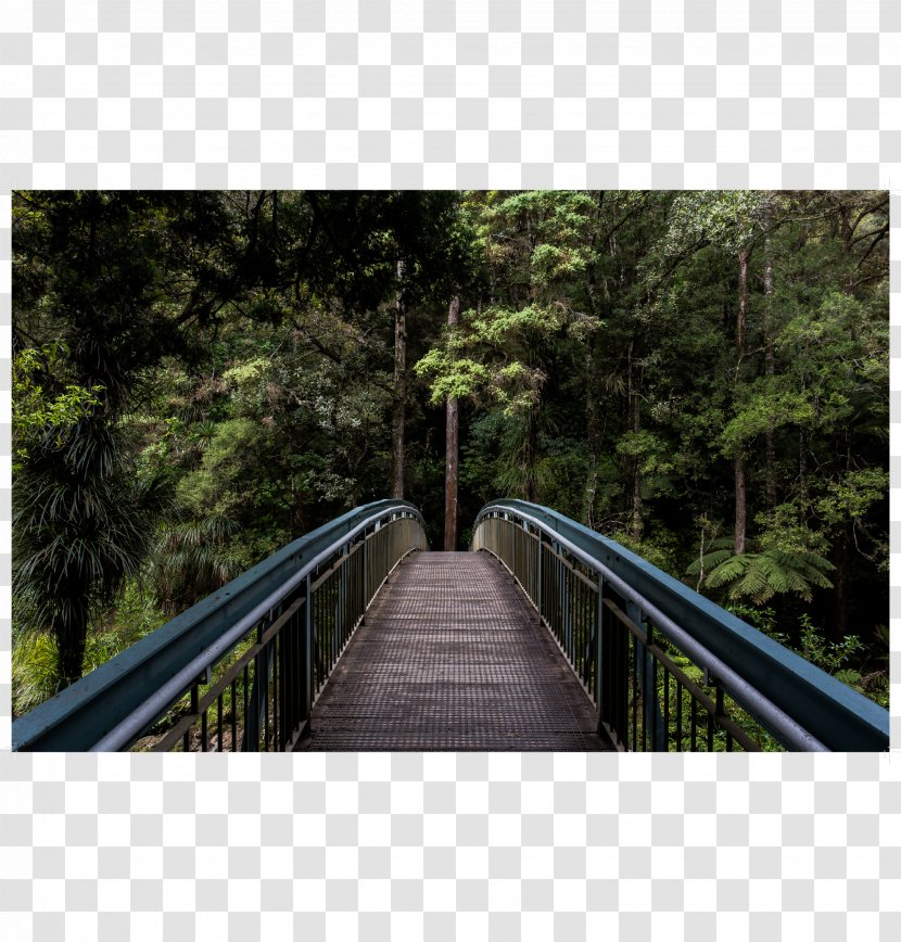 Landscape Photography - Suspension Bridge - Wooden Transparent PNG
