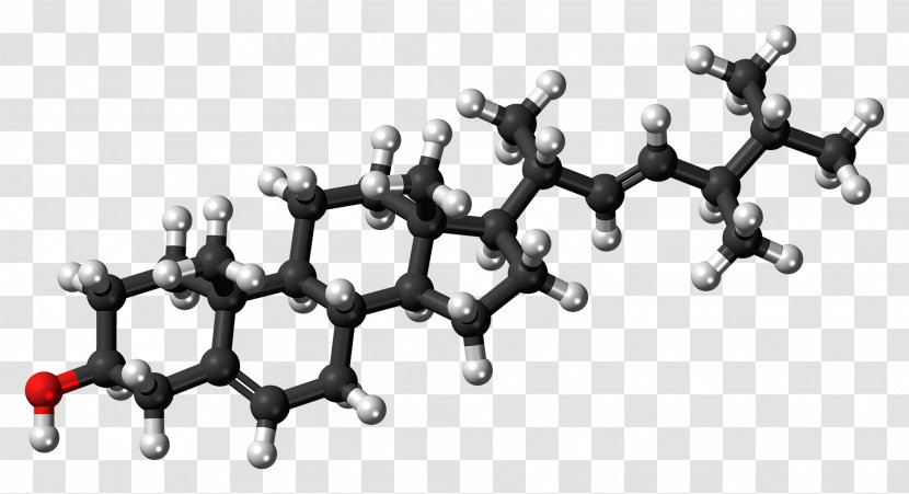 Progesterone Steroid Hormone Molecule Progestogen - Estrogen - Ballandstick Model Transparent PNG