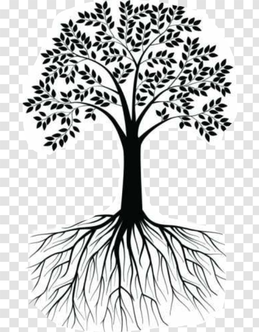 Wall Decal Root Tree Clip Art Illustration - Black Transparent PNG