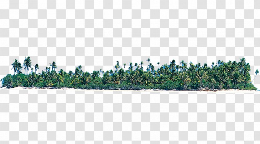 Island Designer Pattern - Green - Trees Transparent PNG