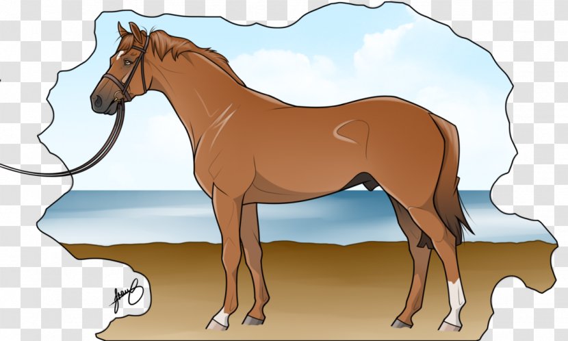 Mustang Foal Mare Mane Pony - Animal Figure Transparent PNG