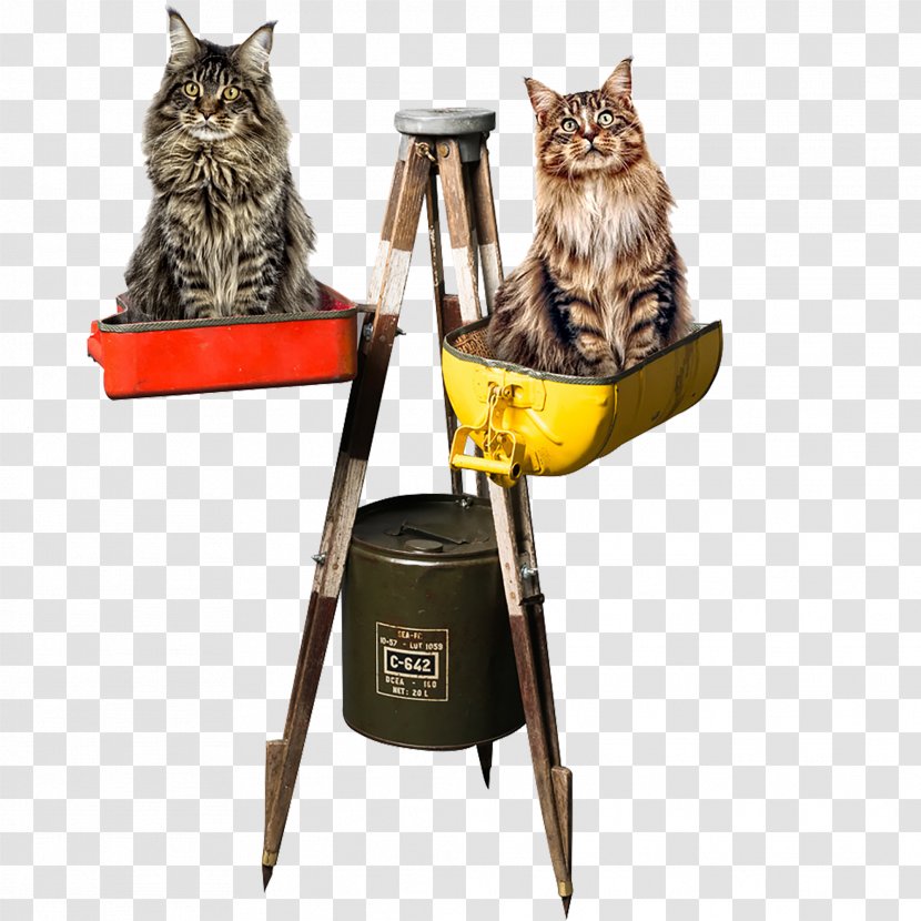 Maine Coon Cat Tree Dog Banquette Tripod - Geomatics Engineering - Theodolite Transparent PNG