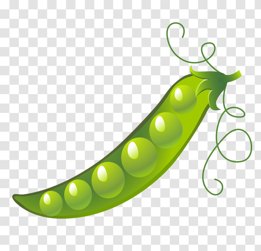 Snow Pea Green Bean Vegetable Image - Grado Transparent PNG