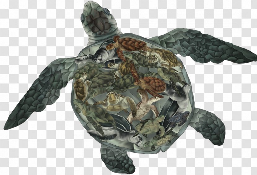 Loggerhead Sea Turtle Leatherback Box Turtles Tortoise - Deviantart Transparent PNG
