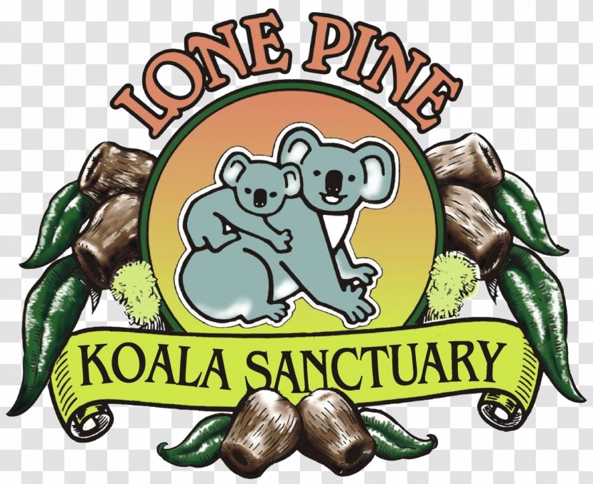 Lone Pine Koala Sanctuary Brisbane River Platypus Animal Transparent PNG