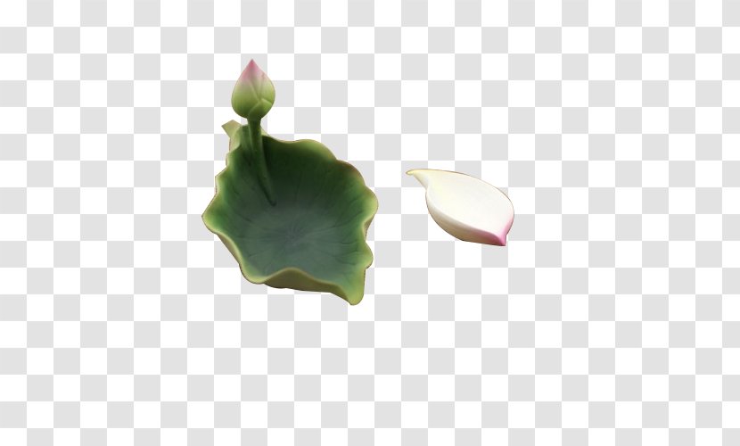 Petal - Lotus Leaf Creative Dishes Transparent PNG