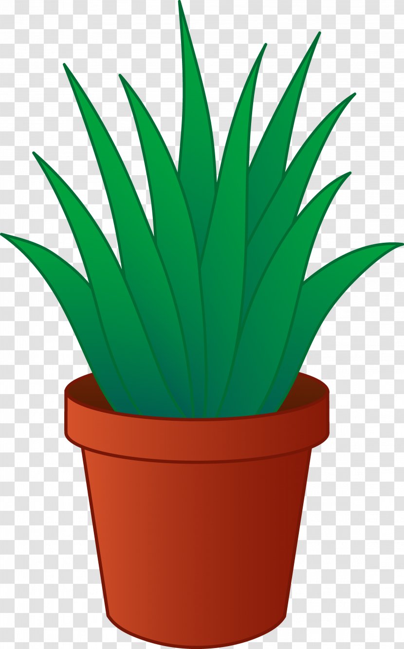 Houseplant Flowerpot Clip Art - Plant Transparent PNG