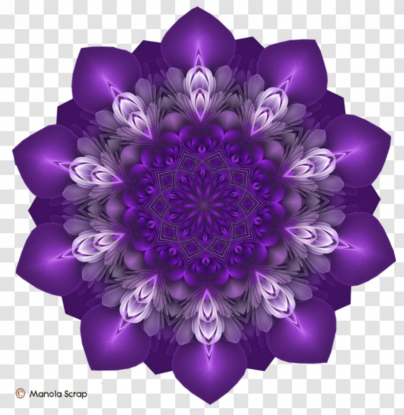 Zendala: Draw And Colour Meditative Mandalas For Inner Calm Drawing Coloring Book Meditation - Sacred - Diy Mosaic Mirror Designs Transparent PNG