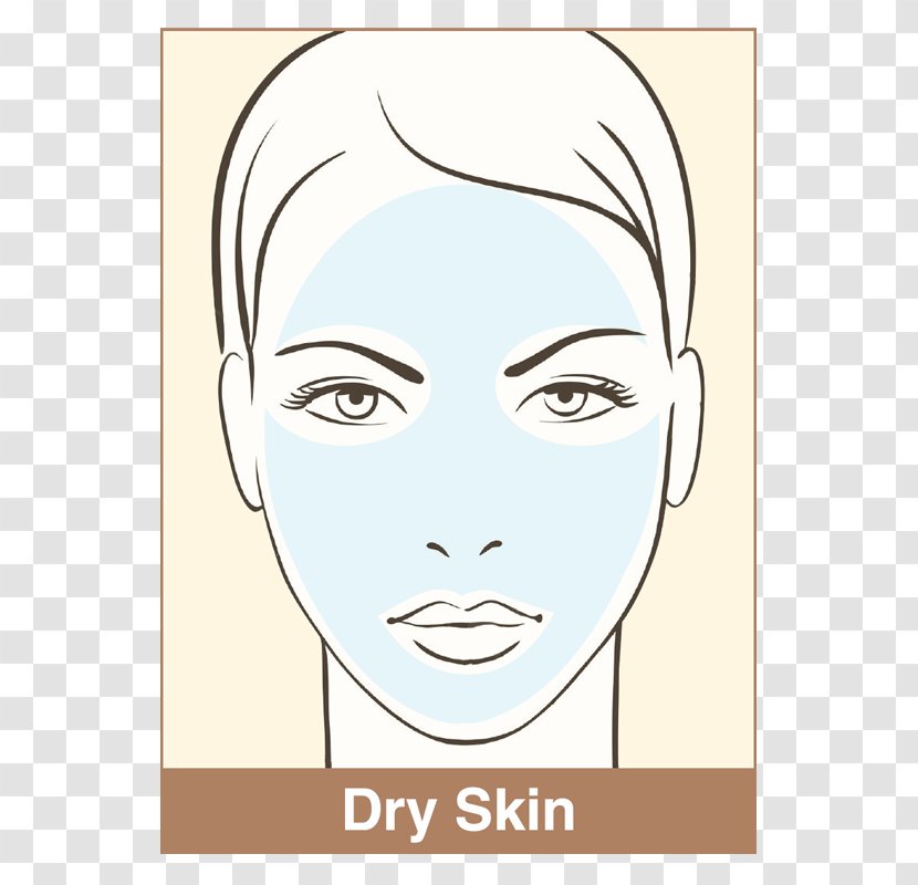 Face Make-up Drawing Skin Eyebrow - Silhouette - Protect Transparent PNG