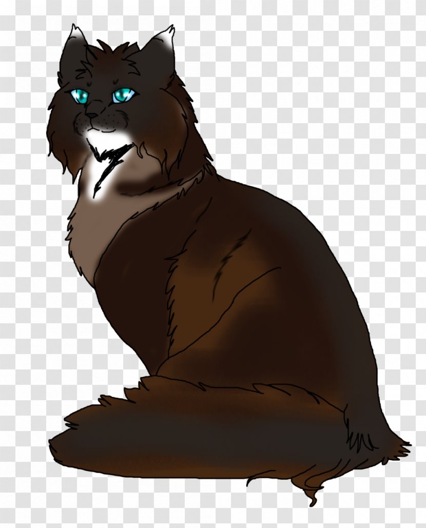 Whiskers Cat Fur Snout - Black Transparent PNG