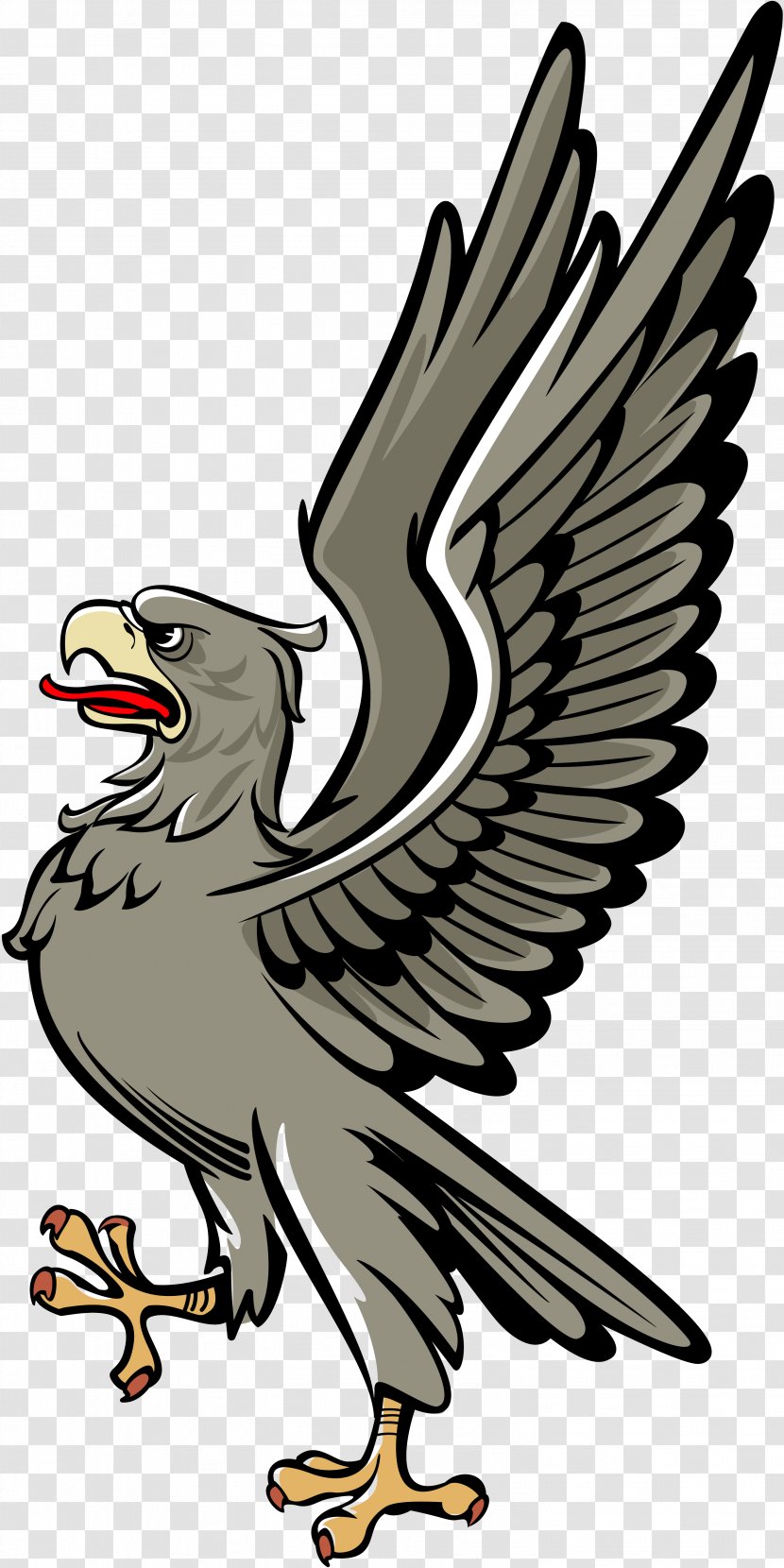 Bald Eagle Bird Heraldry - Blazon Transparent PNG