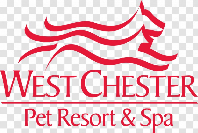West Chester Pet Resort And Spa Dog - Training Transparent PNG