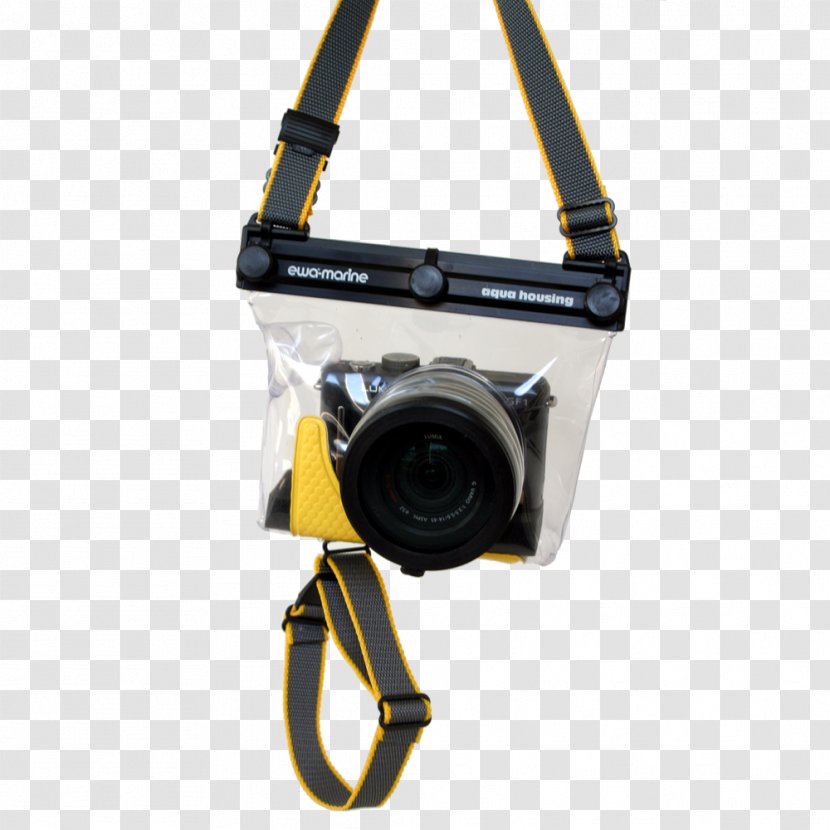 Underwater Photography Digital Cameras Mirrorless Interchangeable-lens Camera Micro Four Thirds System - Technology Transparent PNG