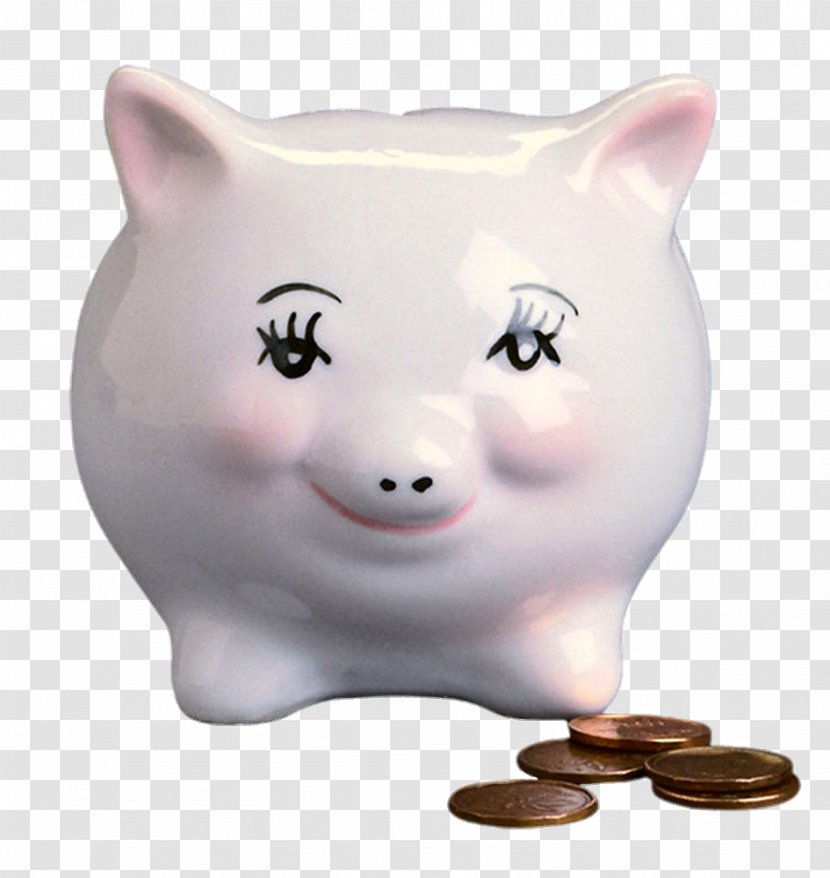 Domestic Pig Piggy Bank - Cat - White Transparent PNG