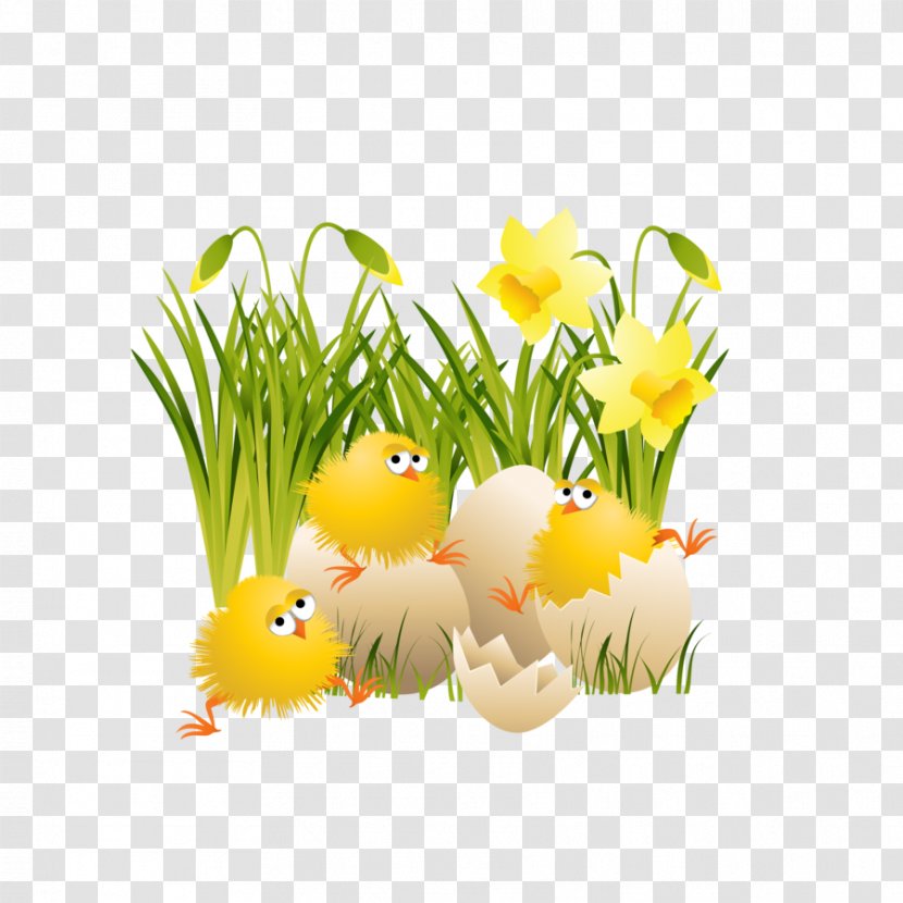 Chicken Easter Clip Art - Flower - Chick Transparent PNG