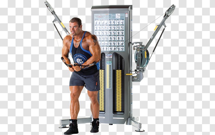 Weightlifting Machine Sport Fitness Centre Physical - Sports Venue - Gym Transparent PNG