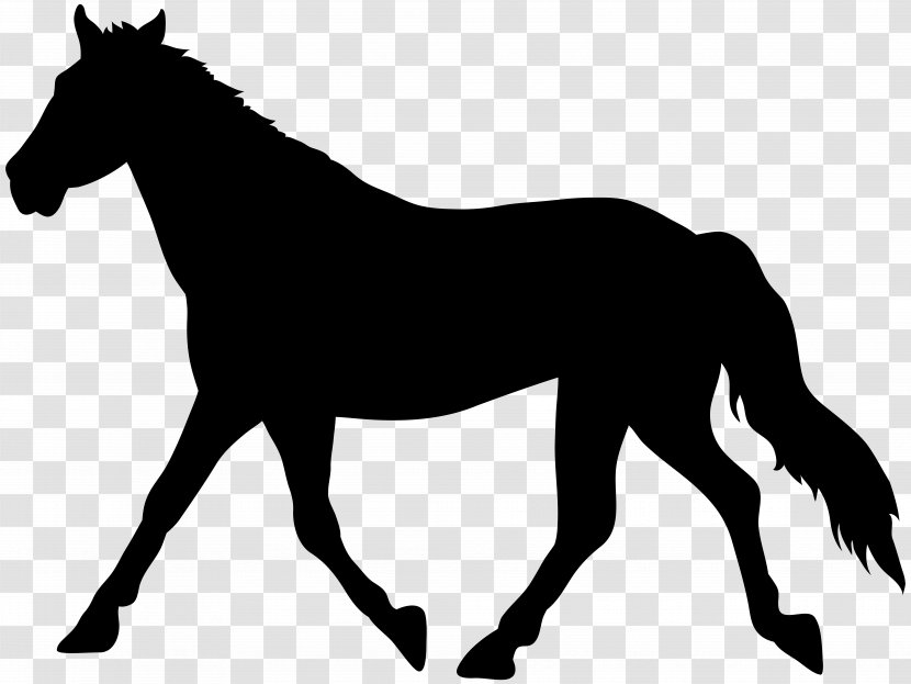 American Paint Horse Clip Art - Supplies - Silhouette Transparent Image Transparent PNG