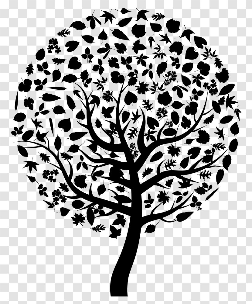 Tree Silhouette Clip Art - VECTOR FAMILY TREE FRAMES Transparent PNG