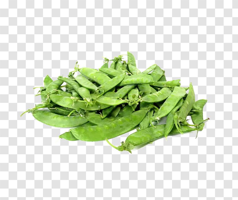 Snap Pea Snow Bean Vegetable Food - Ingredient - Creative Peas Transparent PNG