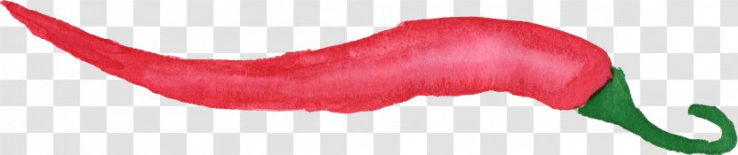 Chili Con Carne Pepper Transparent PNG