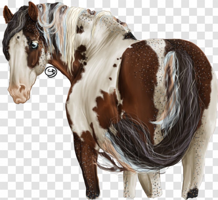 Mane Marwari Horse Mare Stallion Pony - Halter - Mustang Transparent PNG