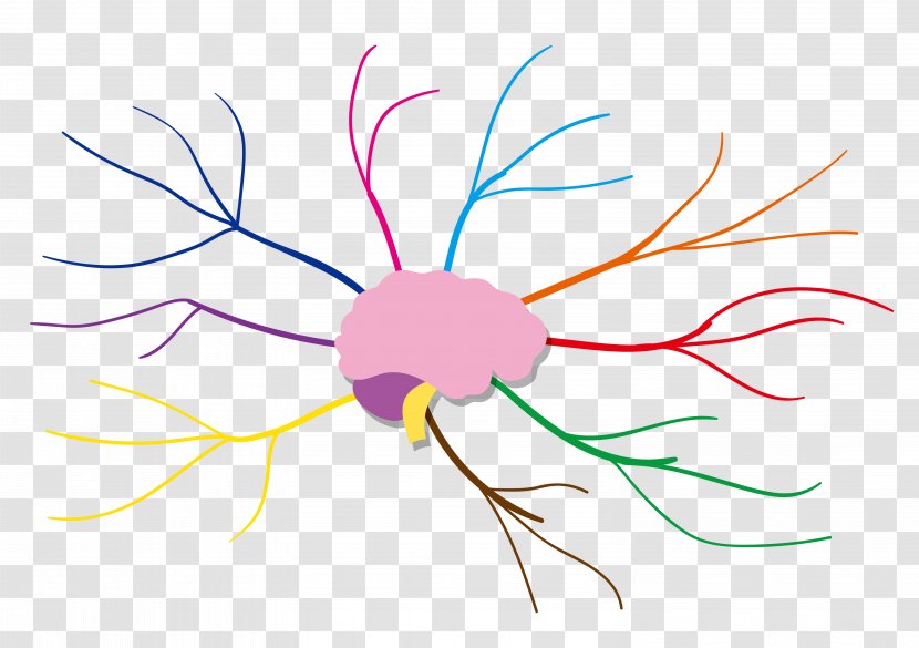 Mind Map Sketch - Pink - Color Radiation Brain Thinking Analysis Transparent PNG