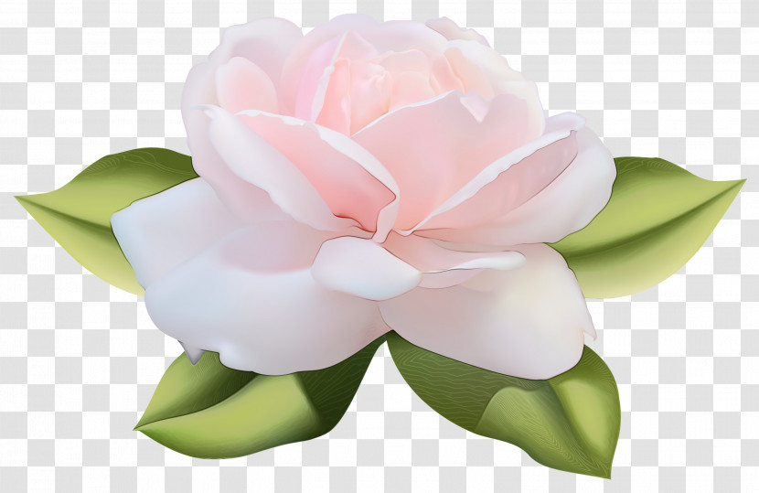 Artificial Flower Transparent PNG