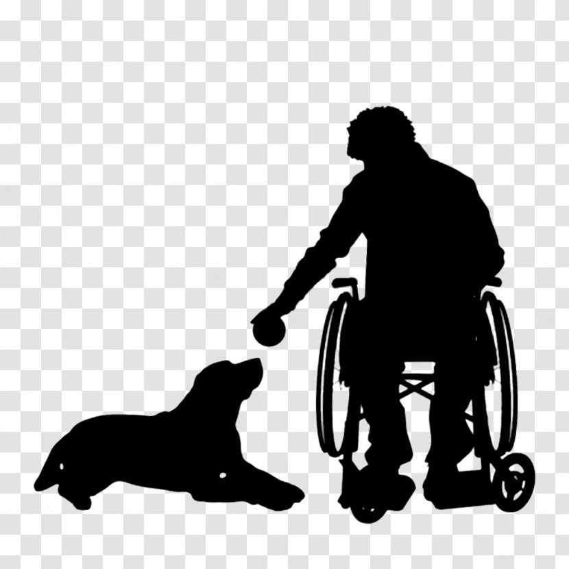 Dog Wheelchair Disability - Male Transparent PNG