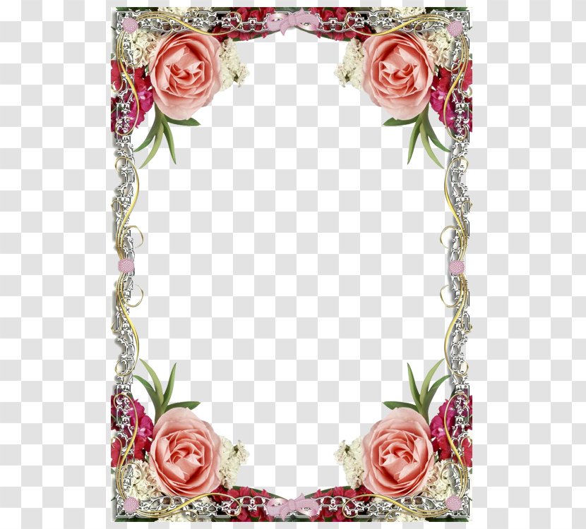 Digital Photo Frame Picture - Rose Family - Valentine Square Transparent PNG