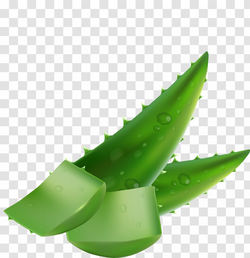 Aloe Vera Liquid Plant Leaf - Hand-painted Texture Material Transparent PNG