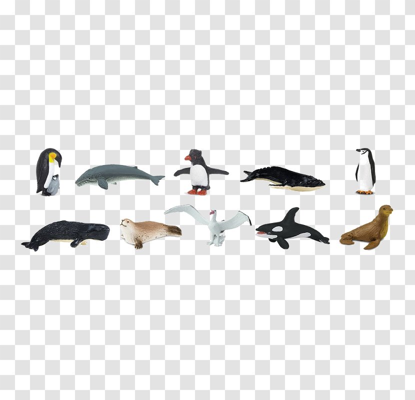 Antarctica Penguin Safari Ltd Bird - Water Transparent PNG