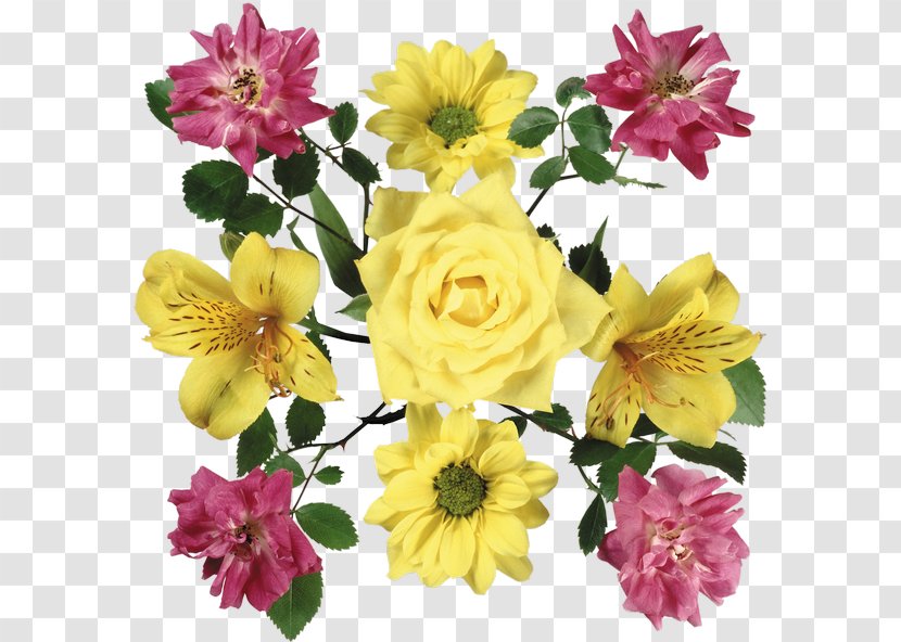 Centifolia Roses Cut Flowers Floral Design Petal - Garden - Flower Transparent PNG