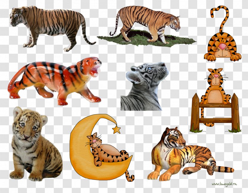 Tiger Lion Cat Clip Art - Animal Figure Transparent PNG