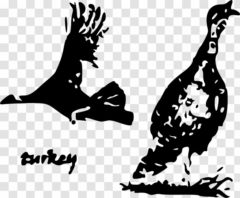 Turkey Meat Stencil - Water Bird Transparent PNG